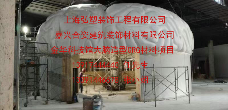 祝賀金華科技館GRG材料吊頂、GRG異形大腦造型吊頂、GRGG1